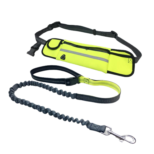 RunEase Leash